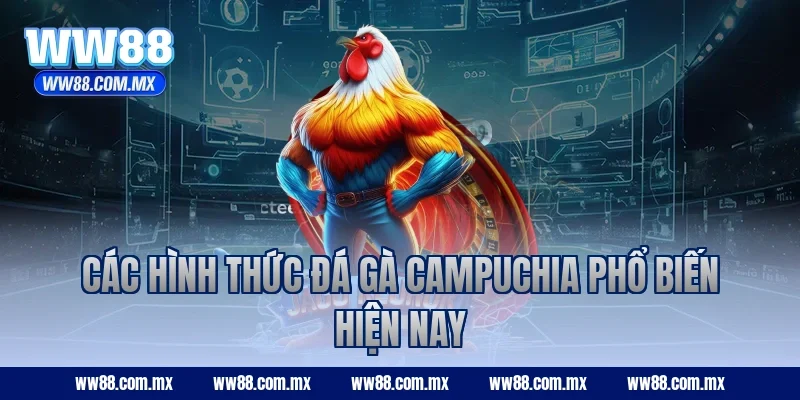 Các hình thức đá gà campuchia phổ biến hiện nay