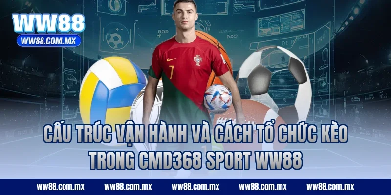 Cấu trúc vận hành và cách tổ chức kèo trong CMD368 Sport WW88