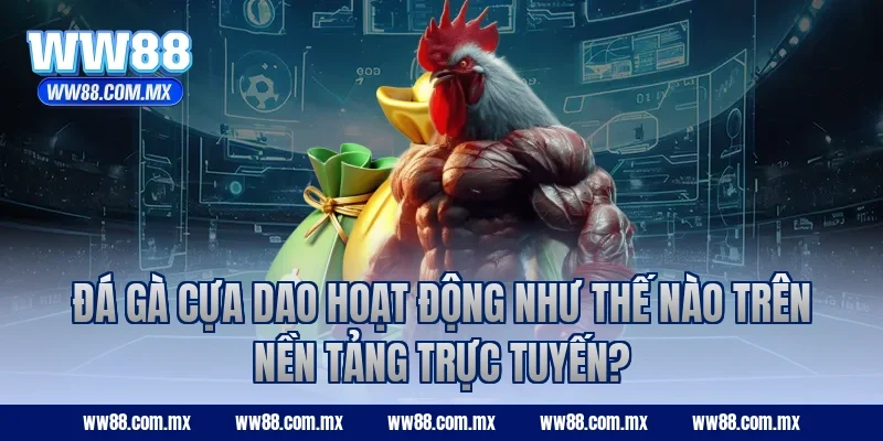 Đá gà cựa dao hoạt động như thế nào trên nền tảng trực tuyến?