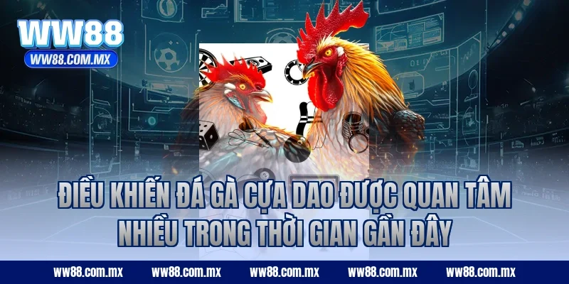 Điều khiến đá gà cựa dao được quan tâm nhiều trong thời gian gần đây