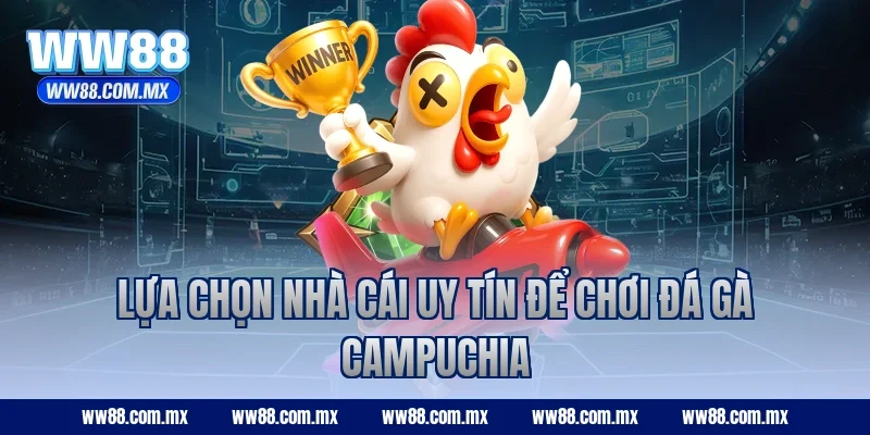 Lựa chọn nhà cái uy tín để chơi đá gà campuchia