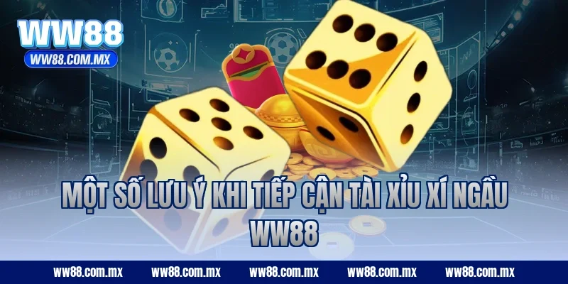 Một số lưu ý khi tiếp cận Tài Xỉu Xí Ngầu WW88