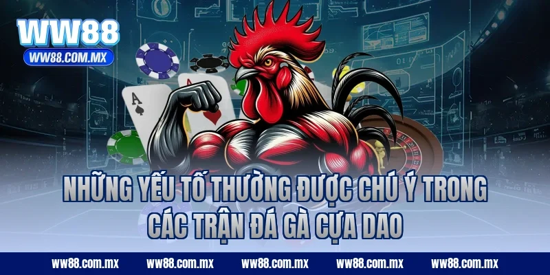 Những yếu tố thường được chú ý trong các trận đá gà cựa dao