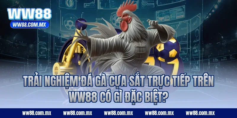 Trải nghiệm đá gà cựa sắt trực tiếp trên WW88 có gì đặc biệt?